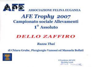 Afe Trofy 2007