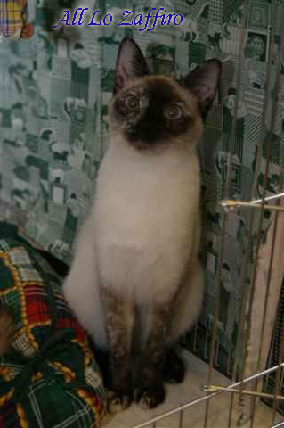 Orianne
