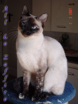 Orianne