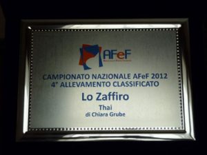 campionato allevamento afef 2012